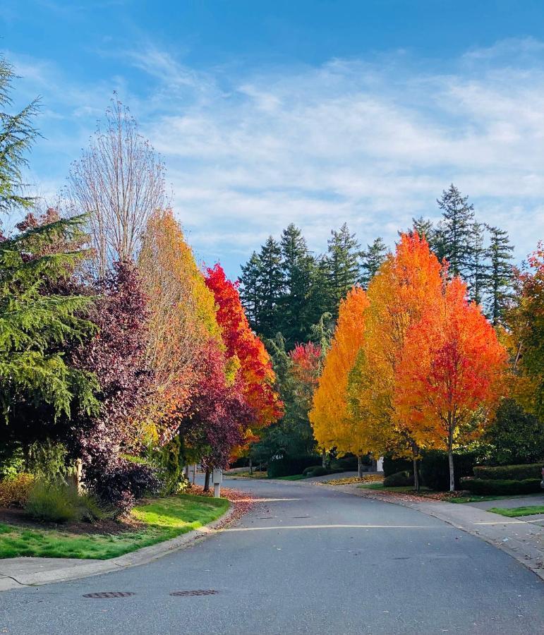 Lucy'S Elegant & Cozy House Apartment Sammamish Exterior photo