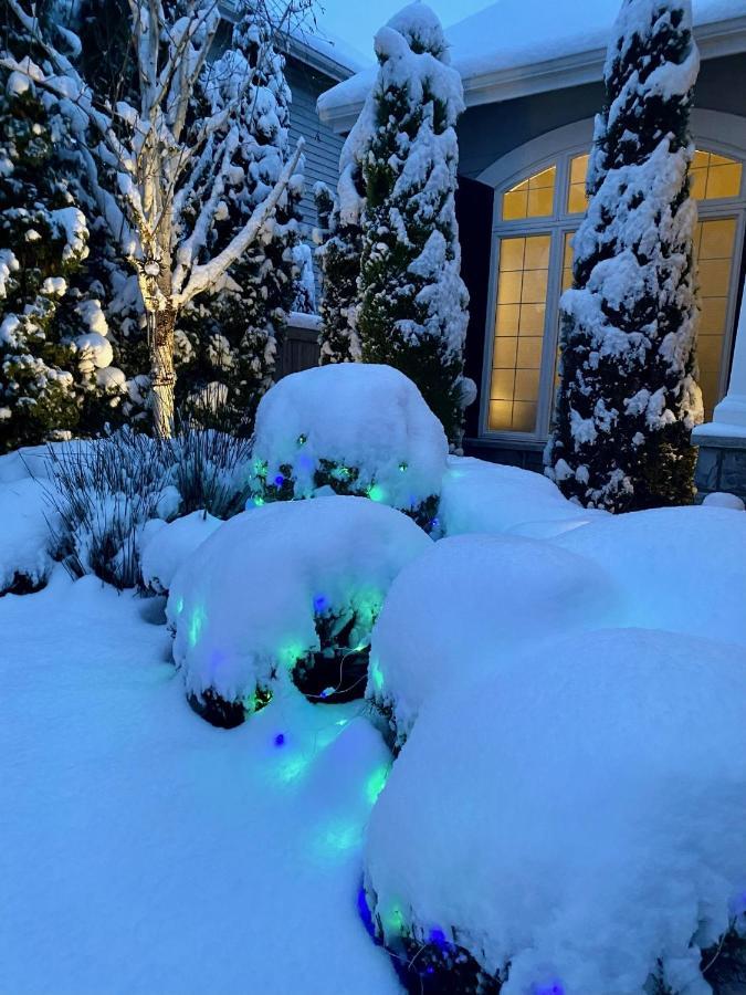 Lucy'S Elegant & Cozy House Apartment Sammamish Exterior photo